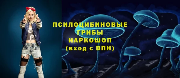 a pvp Карпинск