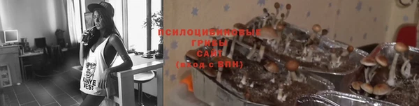 бутират Касимов
