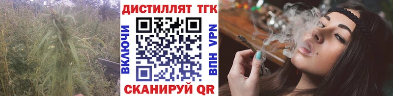 Купить  Горно-Алтайск  ТГК THC oil 
